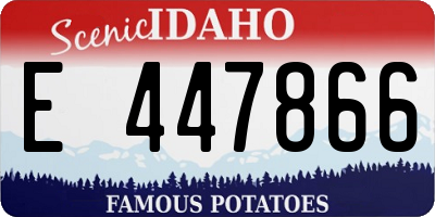 ID license plate E447866