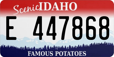ID license plate E447868