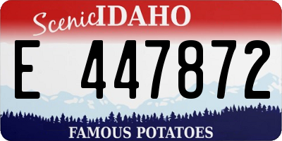 ID license plate E447872