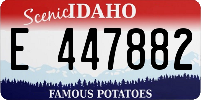 ID license plate E447882
