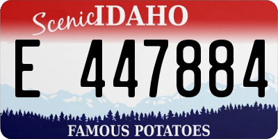 ID license plate E447884