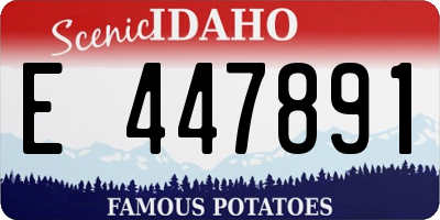 ID license plate E447891