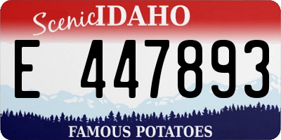 ID license plate E447893