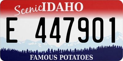 ID license plate E447901