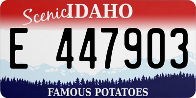 ID license plate E447903