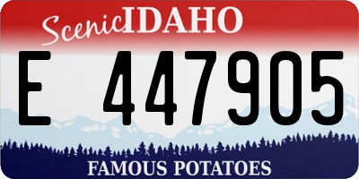 ID license plate E447905
