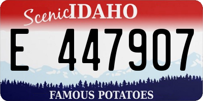 ID license plate E447907