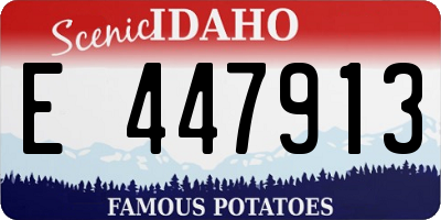 ID license plate E447913