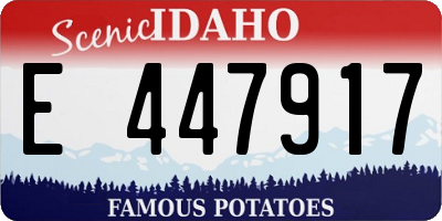 ID license plate E447917
