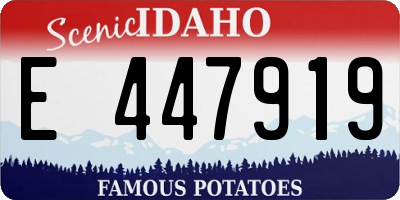 ID license plate E447919