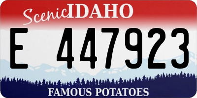 ID license plate E447923