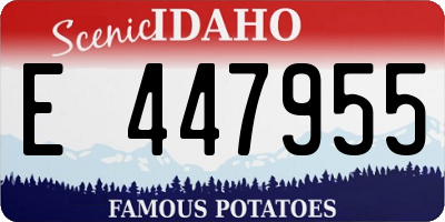 ID license plate E447955