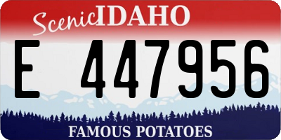 ID license plate E447956