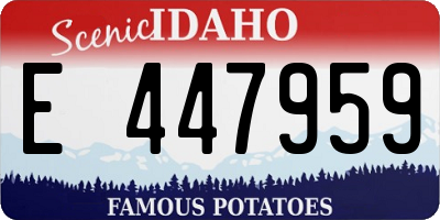 ID license plate E447959