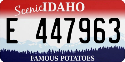 ID license plate E447963