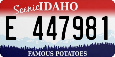 ID license plate E447981