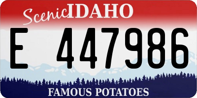 ID license plate E447986