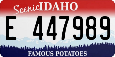 ID license plate E447989