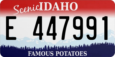 ID license plate E447991