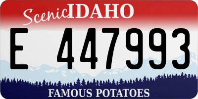 ID license plate E447993