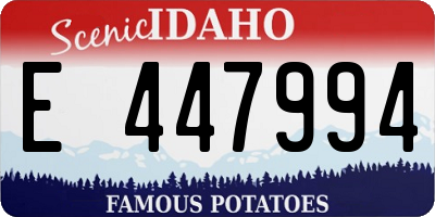 ID license plate E447994
