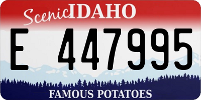ID license plate E447995