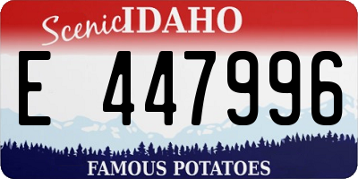 ID license plate E447996