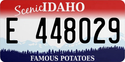 ID license plate E448029