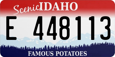 ID license plate E448113