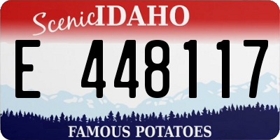ID license plate E448117