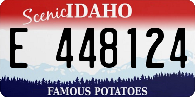 ID license plate E448124