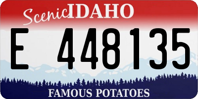 ID license plate E448135