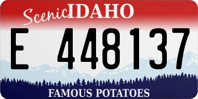 ID license plate E448137