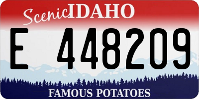 ID license plate E448209