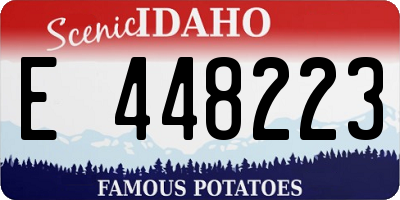 ID license plate E448223