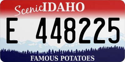 ID license plate E448225