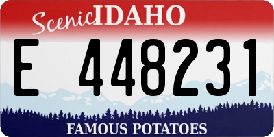 ID license plate E448231