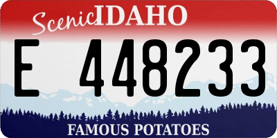 ID license plate E448233