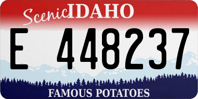 ID license plate E448237