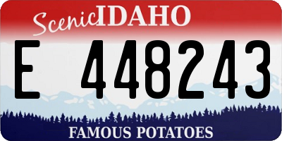 ID license plate E448243