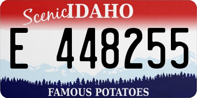 ID license plate E448255