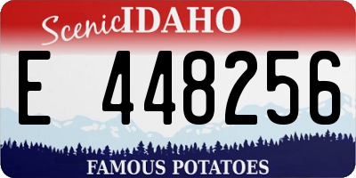 ID license plate E448256