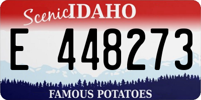 ID license plate E448273