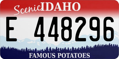 ID license plate E448296