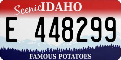 ID license plate E448299