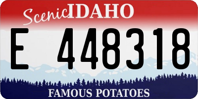 ID license plate E448318