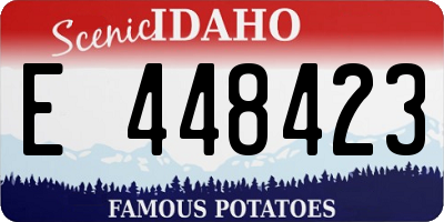 ID license plate E448423