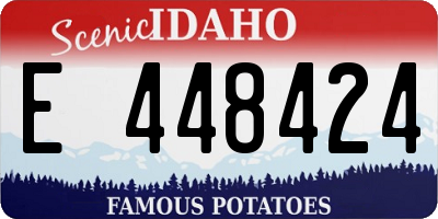 ID license plate E448424