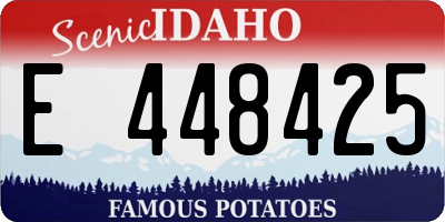 ID license plate E448425
