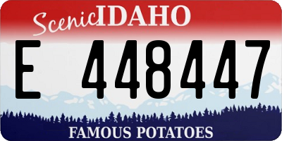 ID license plate E448447